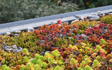 the cost of Wheeler End green roof installation