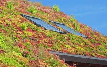 Wheeler End living roof systems