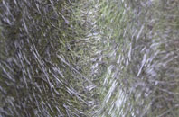 Wheeler End fibreglass roof work